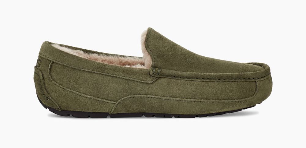 Ugg Ascot - Mens Slippers - Olive - NZ (7923ZYIPF)